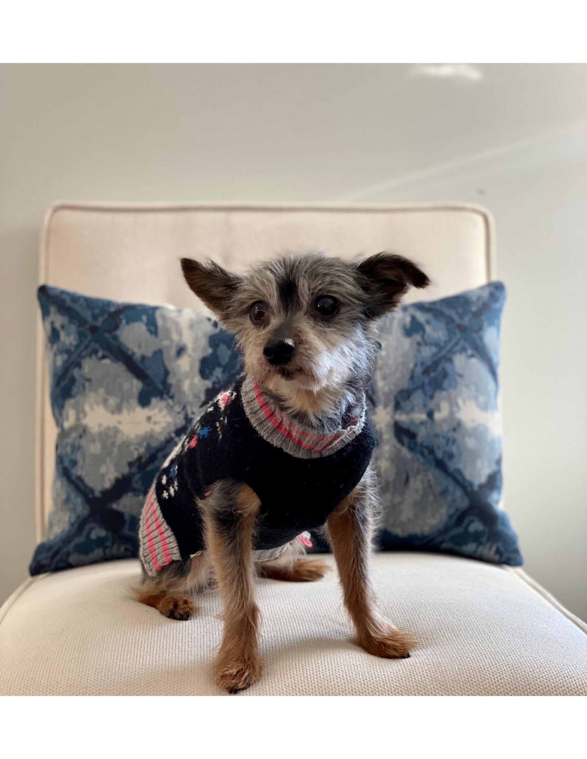 Bella